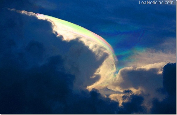 article-2155361-1379F266000005DC-468_964x627