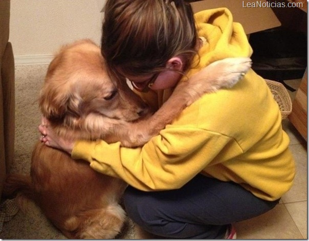 cute-animals-dog-hug