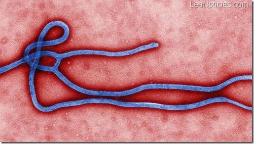 gm-ebola-arre
