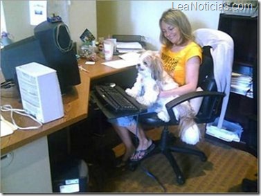 take_your_dog_to_work_loser