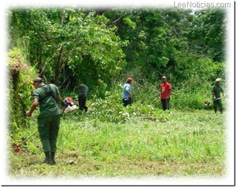 Valle Guanape 1