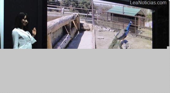 clip_image001