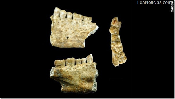 diente-obturado-ms-antiguo-descubrimiento-de-federico-bernardini-y-claudio-tuniz