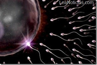 espermas-ovulo-portada