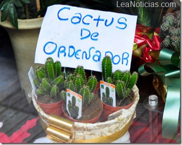 Cactus_Ordenador_radiacion_spain