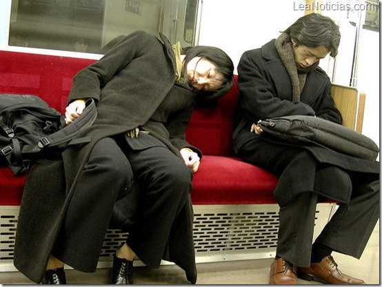 Como dormir en Japón (Fotos graciosas) 12