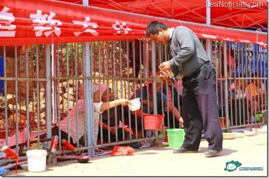 Organizadores_de_un_festival_en_China_crearon_un_zool_gico_humano_para_que_los_mendigos_pudieran_pedir_dinero_02