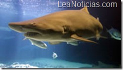 clip_image001 clip_image001