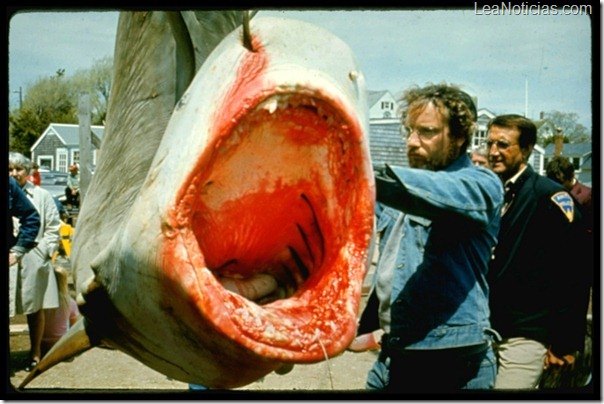 jaws3