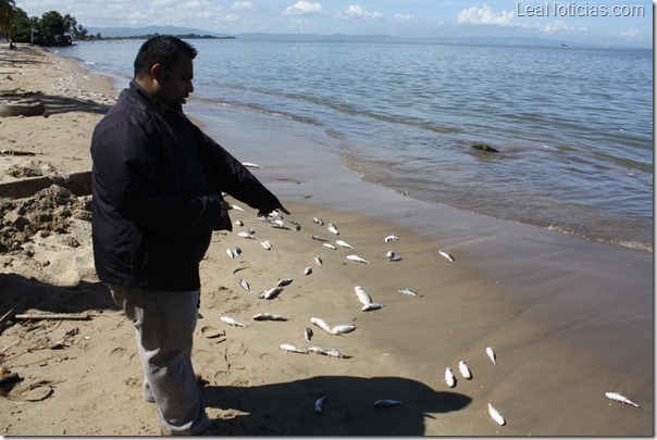 peces muertos playa mansa 2