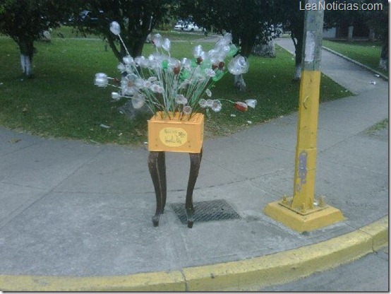 AMOR RECICLADO - Amarillo Piña