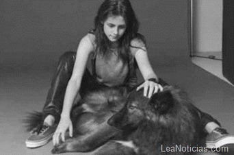 Kristen-stewart-con-su-mascota_54355290841_51347059679_342_226