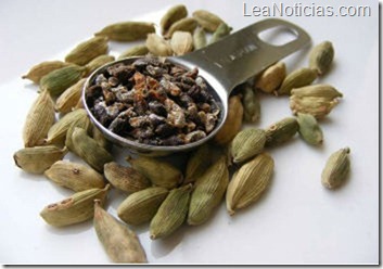 cardamomo