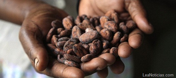 cacao