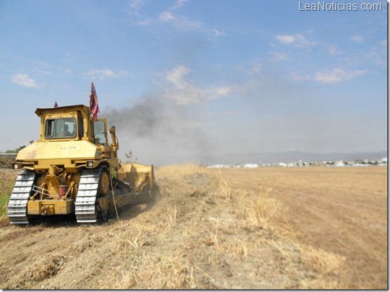 AIAM-realiza-desmalezamiento-y-limpieza-de-zonas-verdes-de-la-pista
