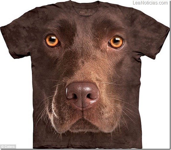 camisetas-3d-animales-perro