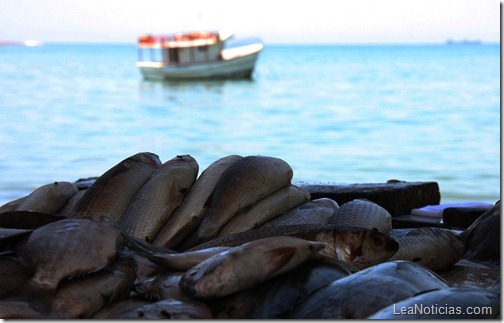 casas-del-pescador-anzoátegui