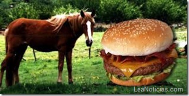 hamburguesas-de-caballo