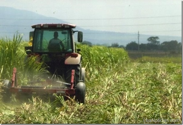 inti-anzoategui inti-anzoategui