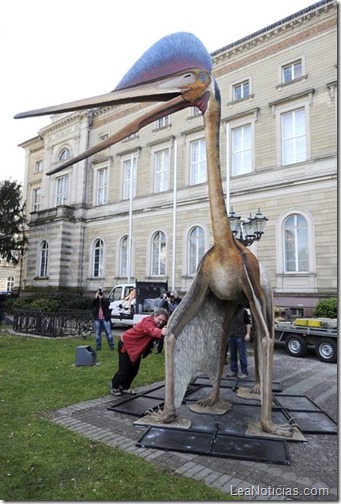 reproduccion-escala-real-pterosaurio-gigante-hatzegopteryx-1