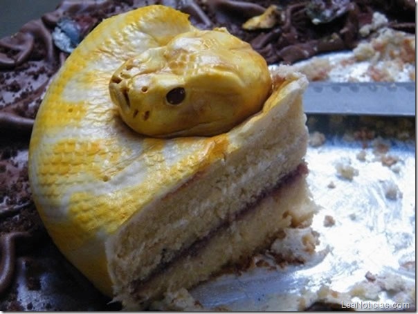 torta-piton-4
