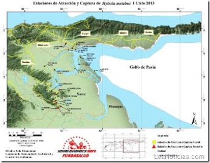 Infografìa ciclo palometa peluda