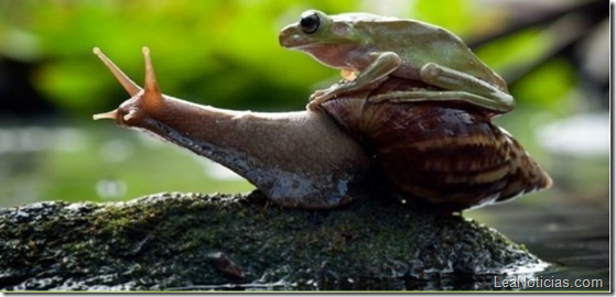 paseo-caracol