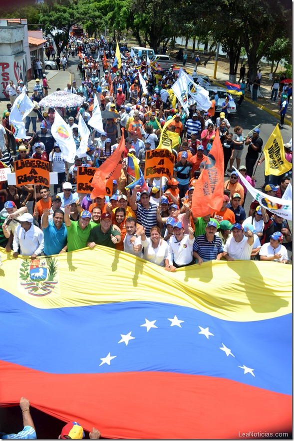 Marcha 1ro de Mayo (2)