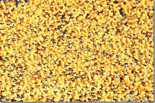 carrera-patitos-goma