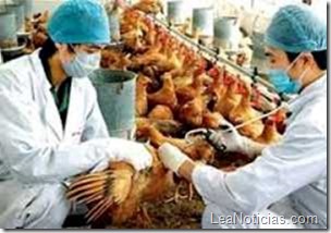 china-reporte-H7N9 china-reporte-H7N9
