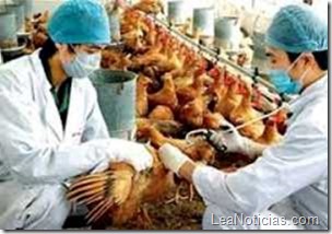 china-reporte-H7N9