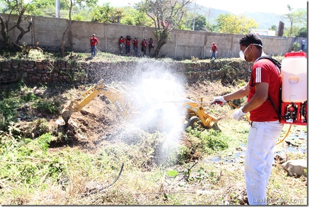 fumigacion-vacunacion