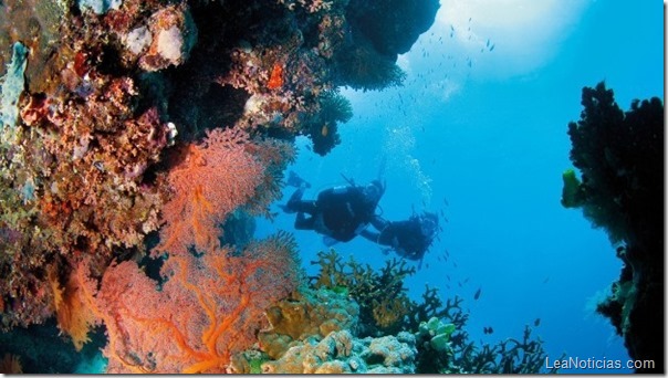 unesco-gran-arrecife