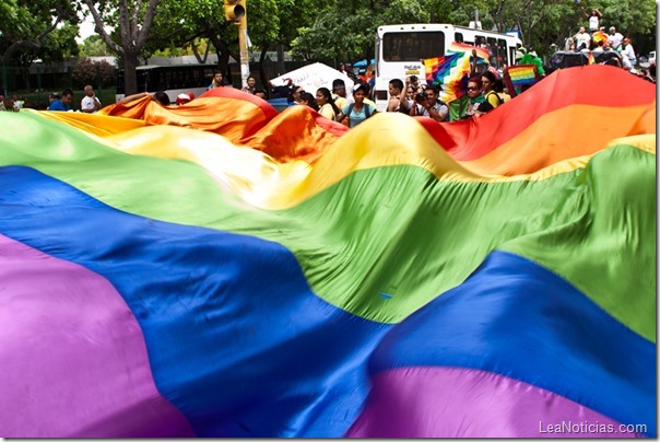 Marcha LGBTI 2013 004