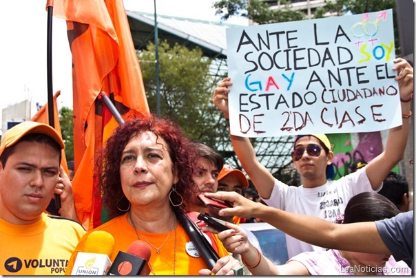 Marcha LGBTI 2013 136