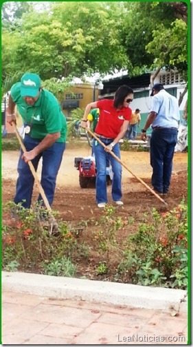 Minamb y comunidad realizarán siembra de Robles para rescatar Plaza Bolívar en los Robles, municipio Maneiro