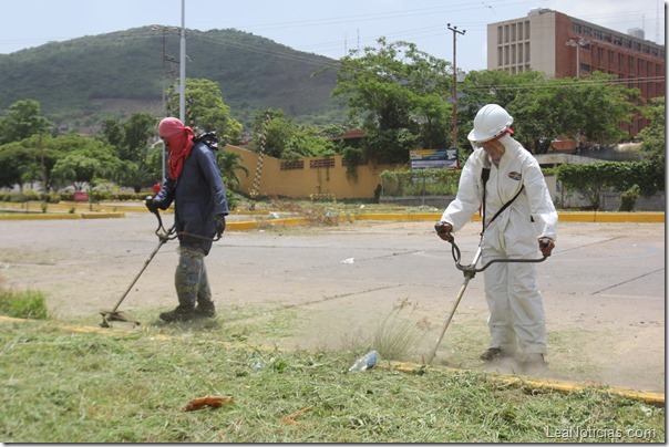 Voluntariado en el Hospital de Niños 15