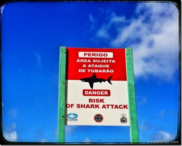 ataque-de-tiburon