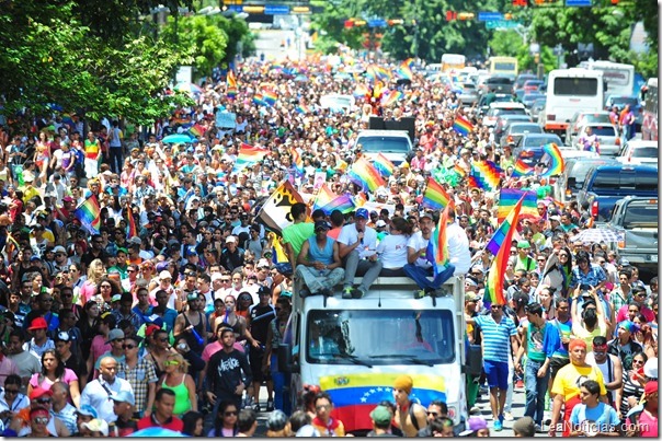 marcha-gay-2013-8