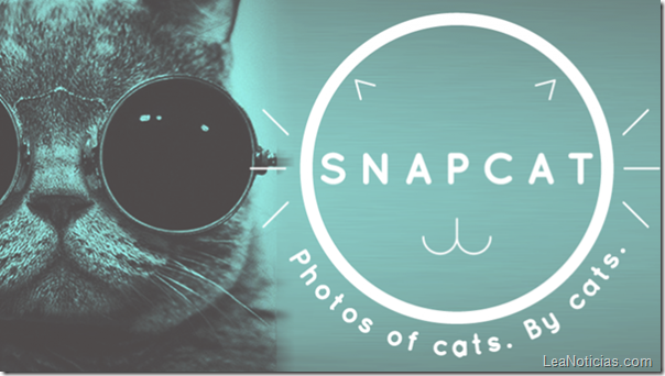 snapcat-cover-664x374