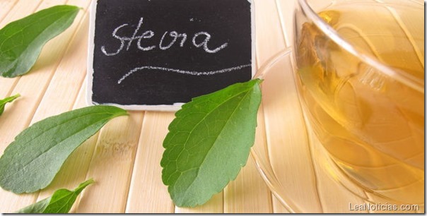 stevia-edulcorante-endulzante-getty_MUJIMA20130701_0029_6 stevia-edulcorante-endulzante-getty_MUJIMA20130701_0029_6