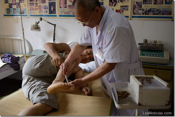 CHINA-MEDICINE-SCIENCE-BEE