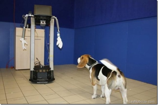Robot y perro