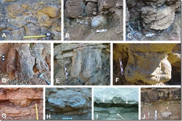 huellas de dinosaurios huellas de dinosaurios