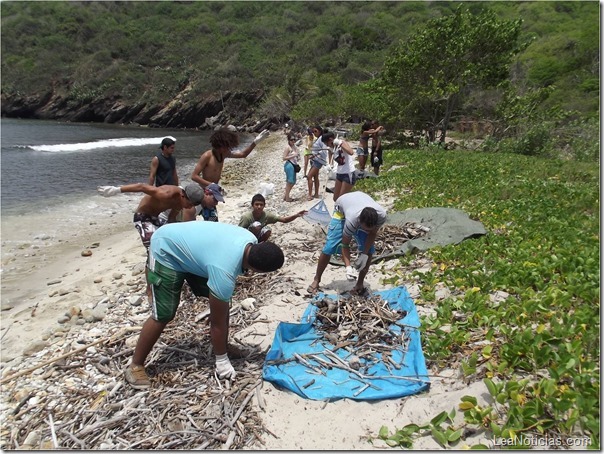 limpieza de playa