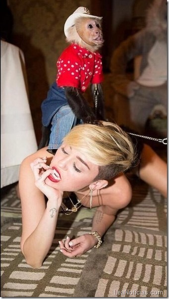 miley-cyrus-twitter-478x850-337x600