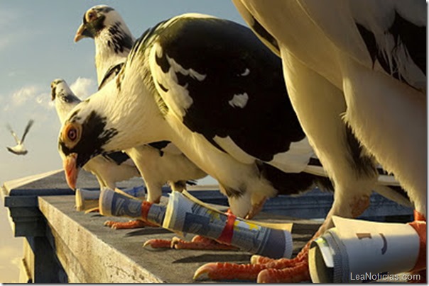 palomas mensajeras