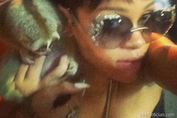 rihanna y primate