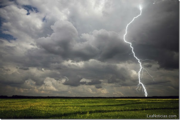 tormenta-electrica-jardin