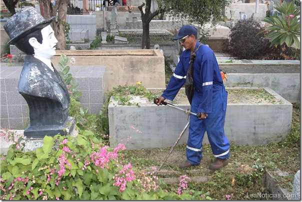 Jornada de Limpieza y restauración del cementerio municipal. (1)